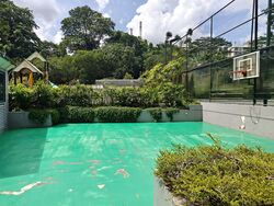 Springdale Condominium (D21), Condominium #565822371